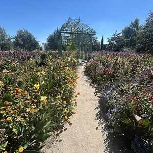 Blumengärten Hirschstetten - General Overview