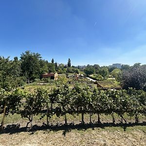 Blumengärten Hirschstetten - General Overview