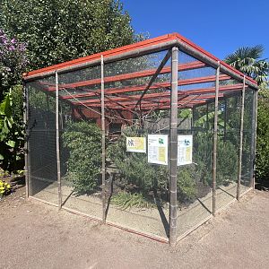 Blumengärten Hirschstetten - Fischer’s Lovebird & Lady Amherst’s Pheasant Aviary