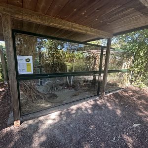 Blumengärten Hirschstetten - Eurasian Harvest Mouse Exhibit