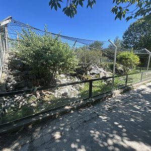 Blumengärten Hirschstetten - Green Lizard Exhibit