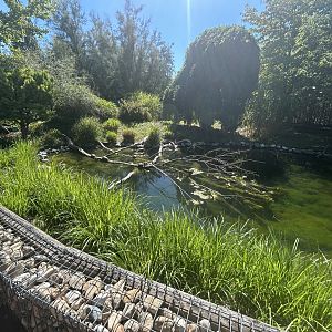 Blumengärten Hirschstetten - European Pond Turtle Exhibit