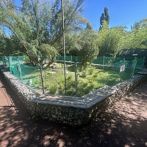 Blumengärten Hirschstetten - Native Tortoise Exhibits