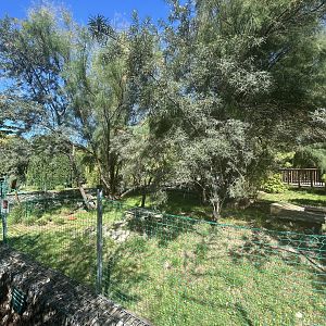 Blumengärten Hirschstetten - Native Tortoise Exhibits