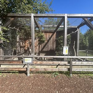Blumengärten Hirschstetten - Little Owl Aviary