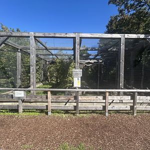 Blumengärten Hirschstetten - Ural Owl Aviary
