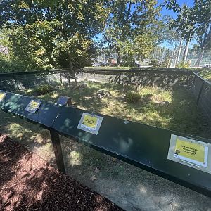 Blumengärten Hirschstetten - Souslik Exhibit