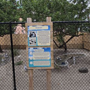 Shorebird aviary