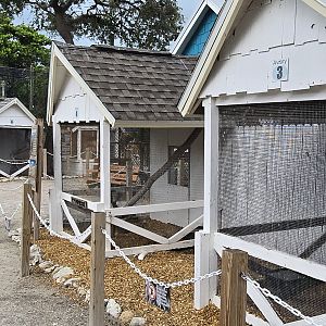 View of aviaries from the entrance