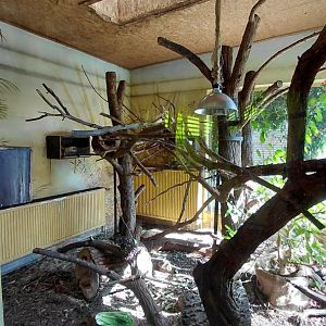 Treeshrew and cloud rat indoor exhibit