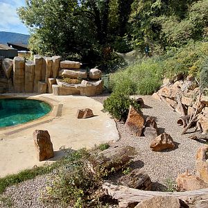 African penguin exhibit