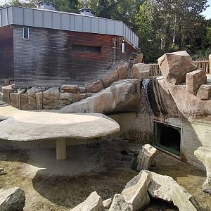 African penguin exhibit