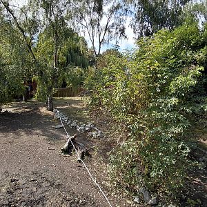 Pygmy hippo outdoor exhibit