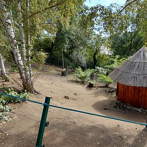 Wallaroo walkthrough exhibit