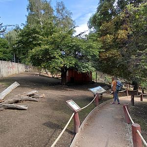 Wallaroo walkthrough exhibit