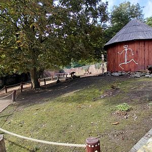 Wallaroo walkthrough exhibit