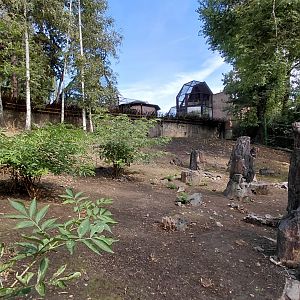 Wallaroo walkthrough exhibit