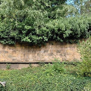 Dino relief sculpture