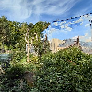 Sun bear outdoor exhibit