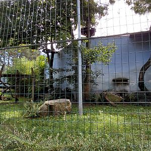 Snow leopard outdoor exhibit