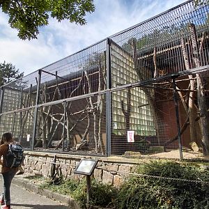 Cages for small mammals