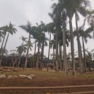 Asian Elephant New Exhibition Area