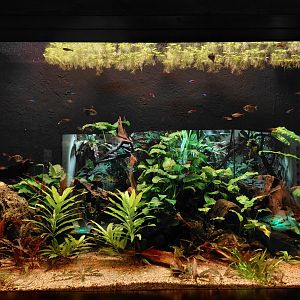 Orinoco tank