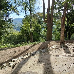 White-lipped deer exhibit