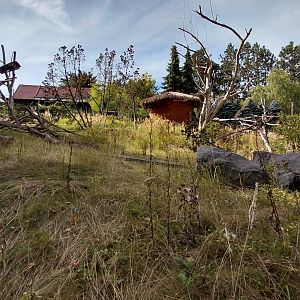 Lemur walkthrough exhibit