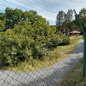 Lemur walkthrough exhibit