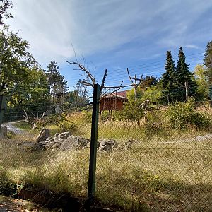 Lemur walkthrough exhibit