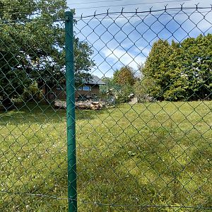 Cheetah outdoor exhibit