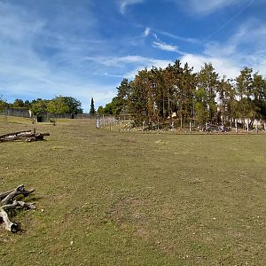 Gibbon forest and sika exhibit