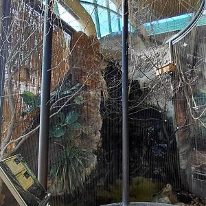 Java sparrow exhibit