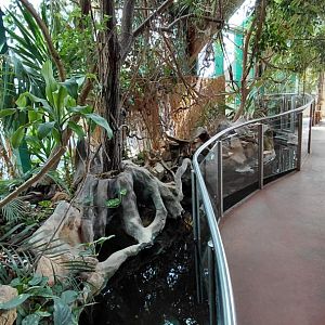 Mixed turtle exhibit