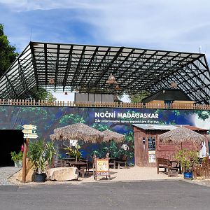 Future Madagascar exhibit