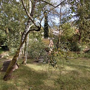 Mixed muntjac and crane exhibit