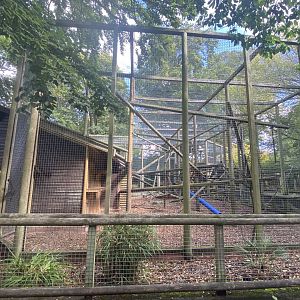 Yellow breasted capuchin enclosure