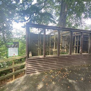 Pygmy marmoset outdoor enclosure