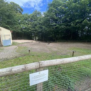 Bactrian camel enclosure