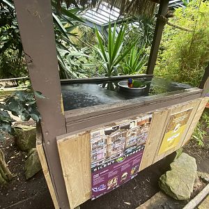 Bird bath stall