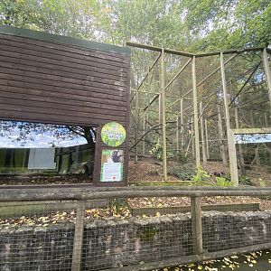 Black lemur enclosure