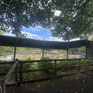 New chimpanzee fencing