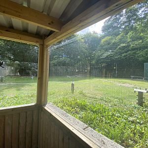 View of camel enclosure from the farm area