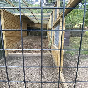 Wallaby enclosure
