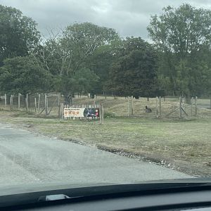 Philippine spotted deer enclosure
