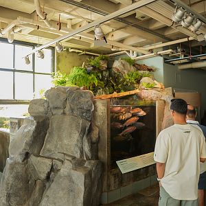 'Freshwater Stream' exhibit (indoor side)