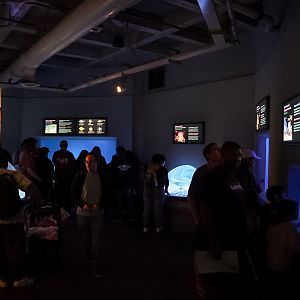 'Sandy Seafloor' exhibits (Monterey Habitats)