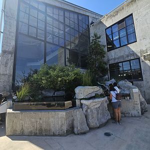 'Freshwater Stream' exhibit (outdoor side)