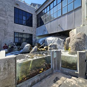 'Wave Crash Tunnel' (outdoor side)